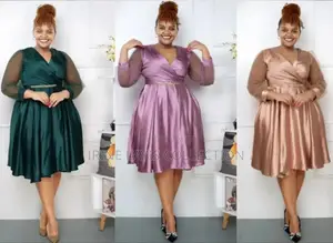 Lady's Classic Dresses