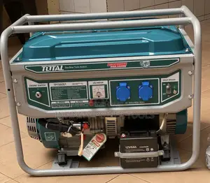 Gasoline Generator Tp155001
