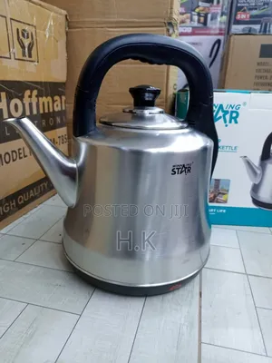 Winning Star St-602 5.0l Stainless Steel Electric Kettle