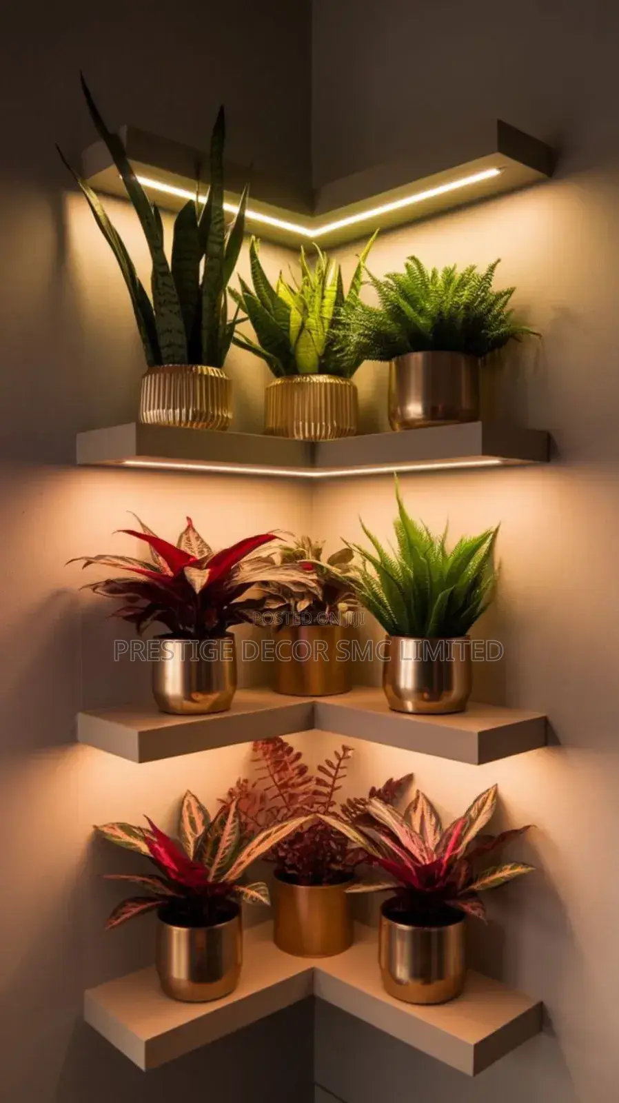 Flowers Shelving