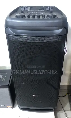 15inch Duo Professional Rechargeable Speaker