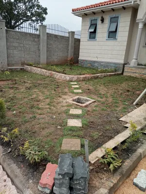 Natural Garden Paspalum Grass, Hybrid Zimbabwe Grass