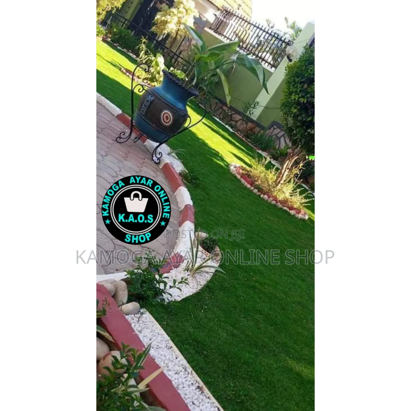 Natural Paspalum Grass / Hybrid Compound Garden Grass