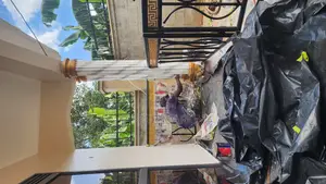 House Painters