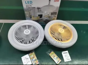 Led Multifunctional Fan Light