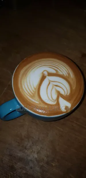 Professional Barista