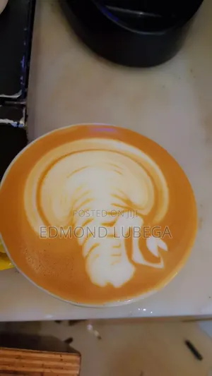Professional Barista