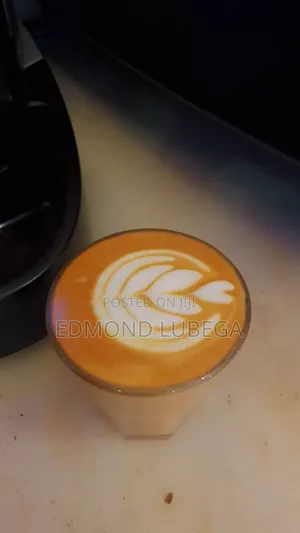 Professional Barista