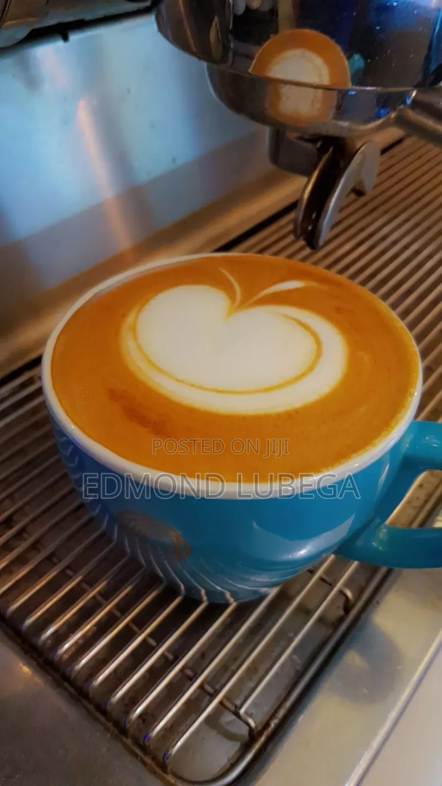 Professional Barista