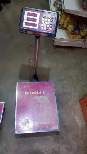 300kg Heavy Duty High Quality Digital Platform Scale