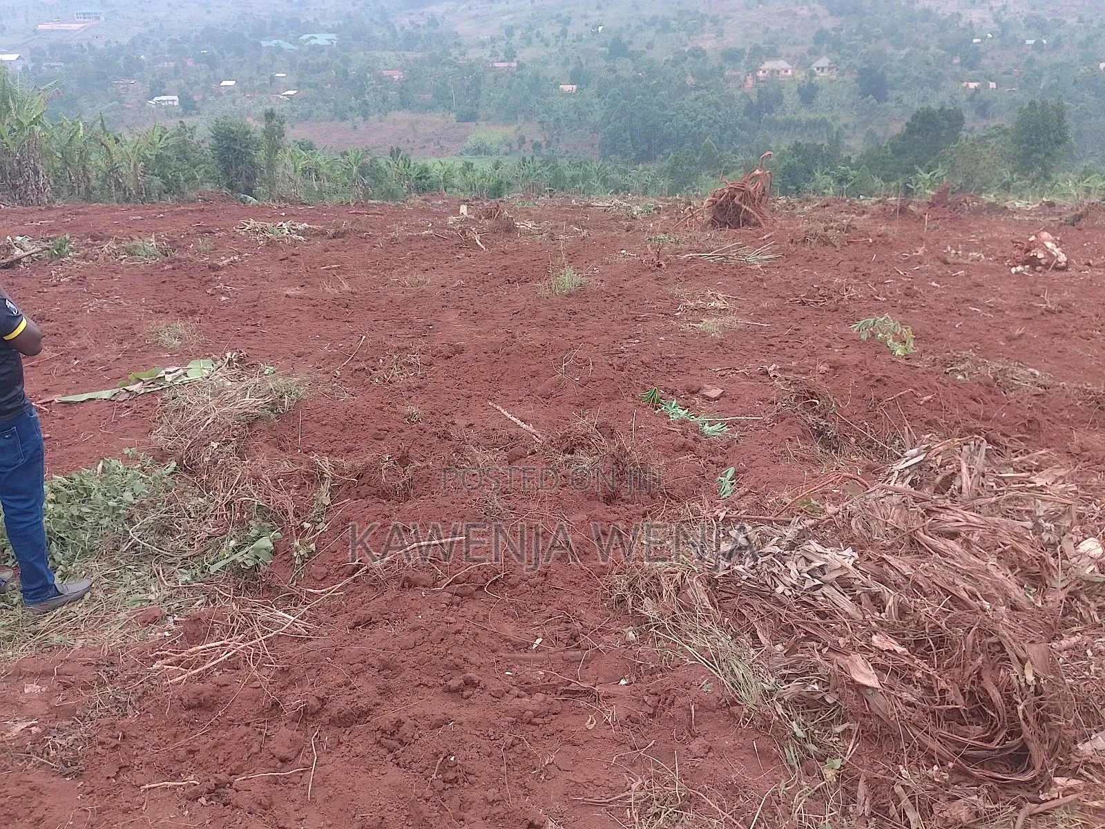 50by100ft Kitavujja 8m