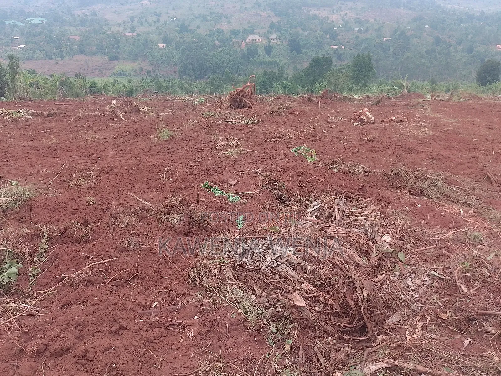 50by100ft Kitavujja 8m