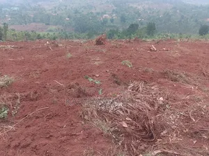 50by100ft Kitavujja 8m