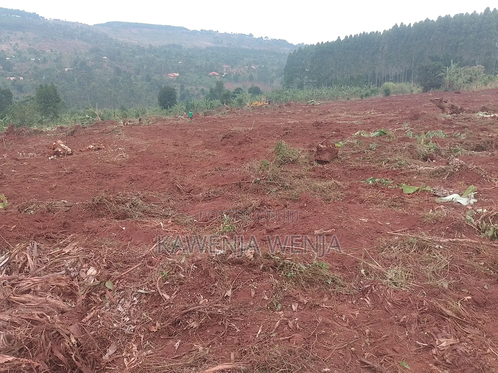 50by100ft Kitavujja 8m