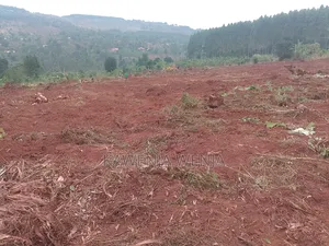 50by100ft Kitavujja 8m