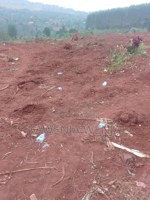 50by100ft Kitavujja 8m
