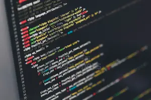 Website Design and Hosting