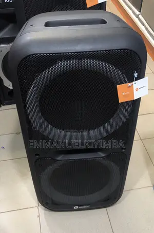 Party Speakers 12 Inch