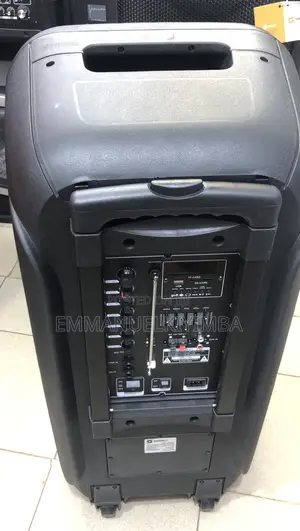 Party Speakers 12 Inch