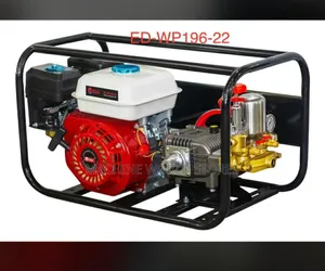 Ed-Wp196-22 Gasoline Power Sprayer