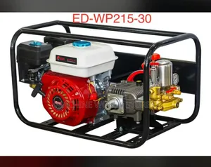 Ed-Wp215-30 Gasoline Garden Power Sprayer