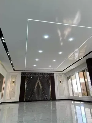 Amazing Ceilling Decorr
