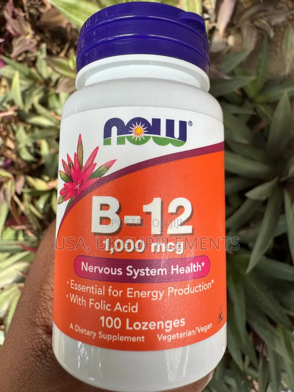 Now B-12 100lozenges
