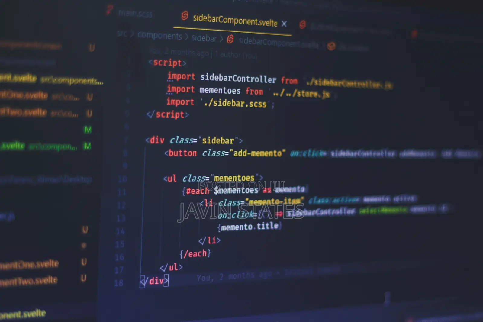 Website Developer