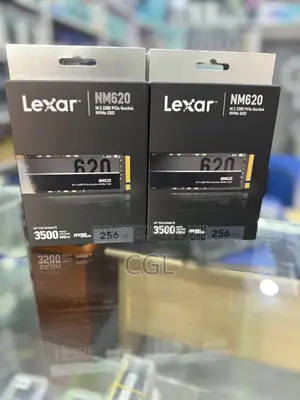 Lexar 256gb Nvme SSD M2 Disk