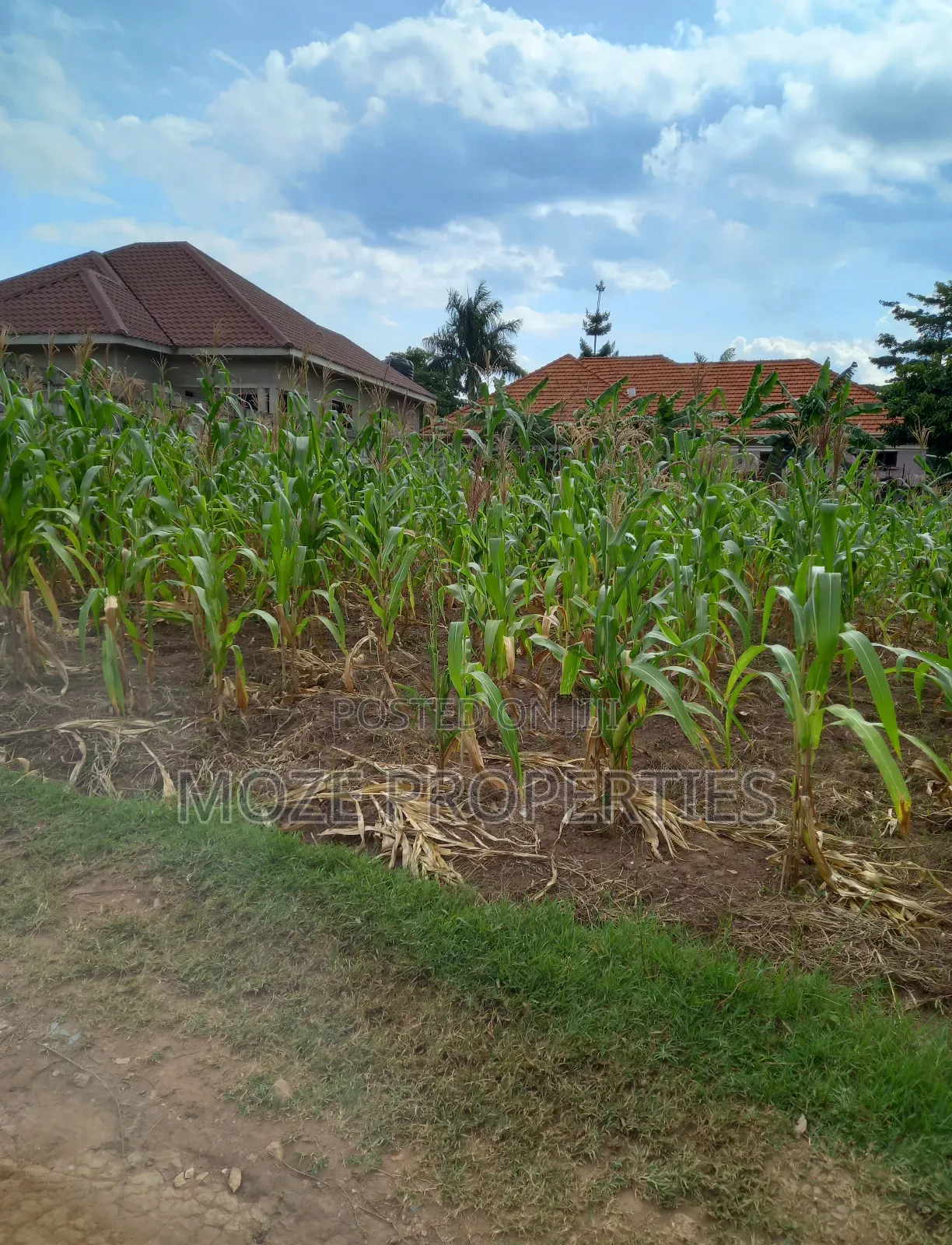100by50 Plot for Sale in Namugongo Nabusugwe.