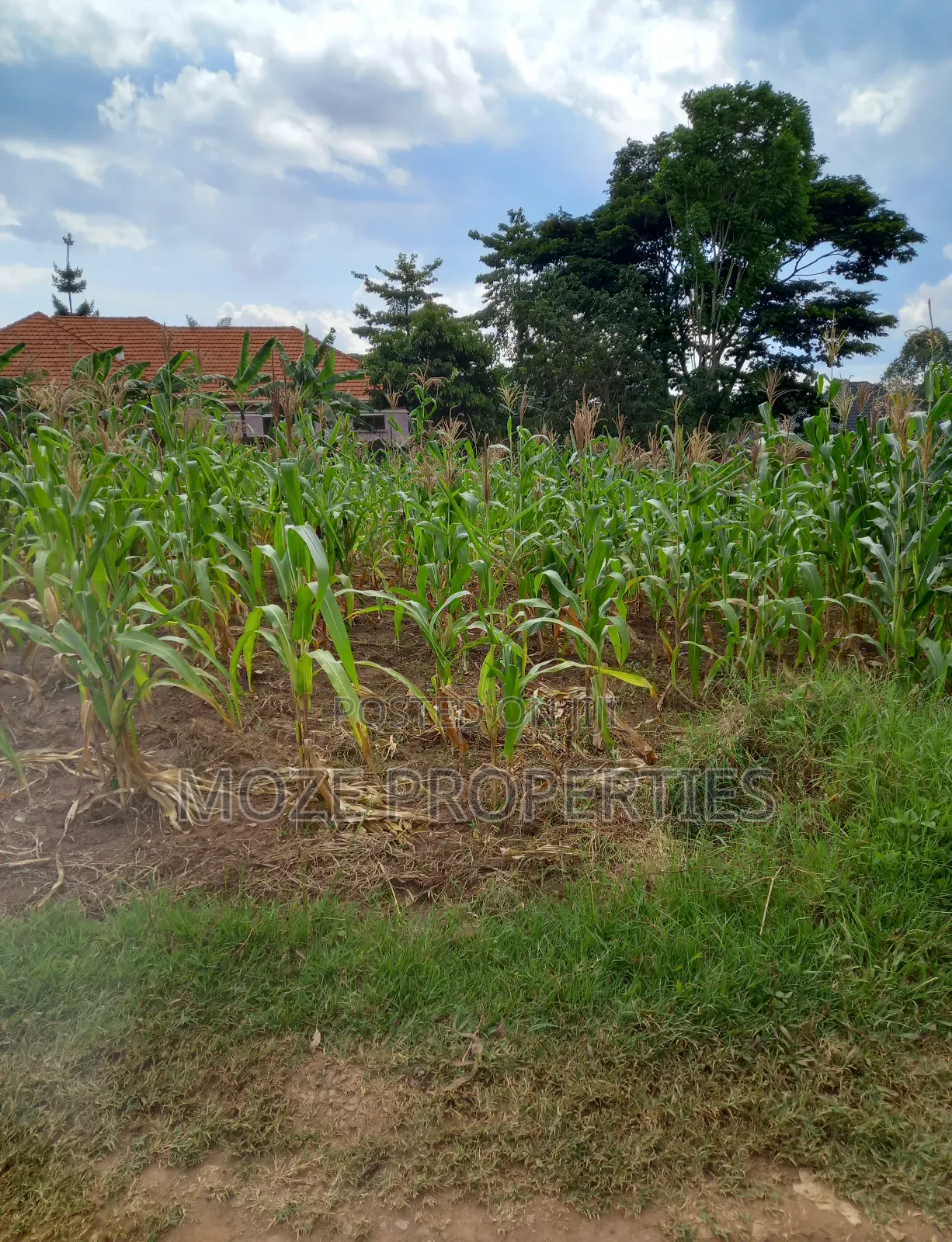 100by50 Plot for Sale in Namugongo Nabusugwe.