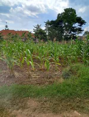 100by50 Plot for Sale in Namugongo Nabusugwe.