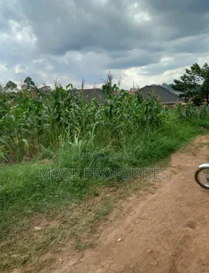 100by50 Plot for Sale in Namugongo Nabusugwe.