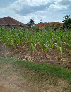100by50 Plot for Sale in Namugongo Nabusugwe.