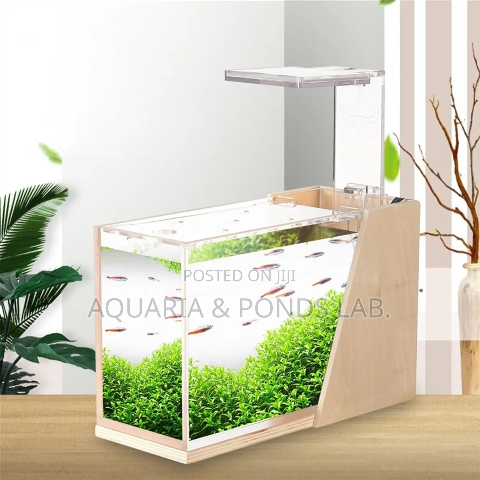 Cheap Desktop Office Aquarium