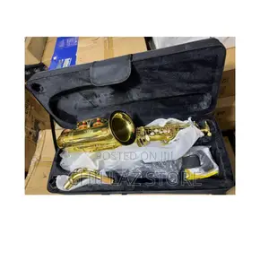 Clear Quality Sound Alto Saxophone With Case/Gloves/Straps.