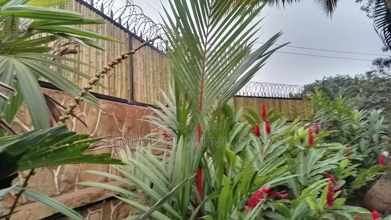 Bamboo Terrace