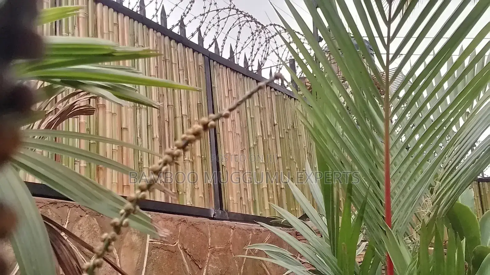 Bamboo Terrace