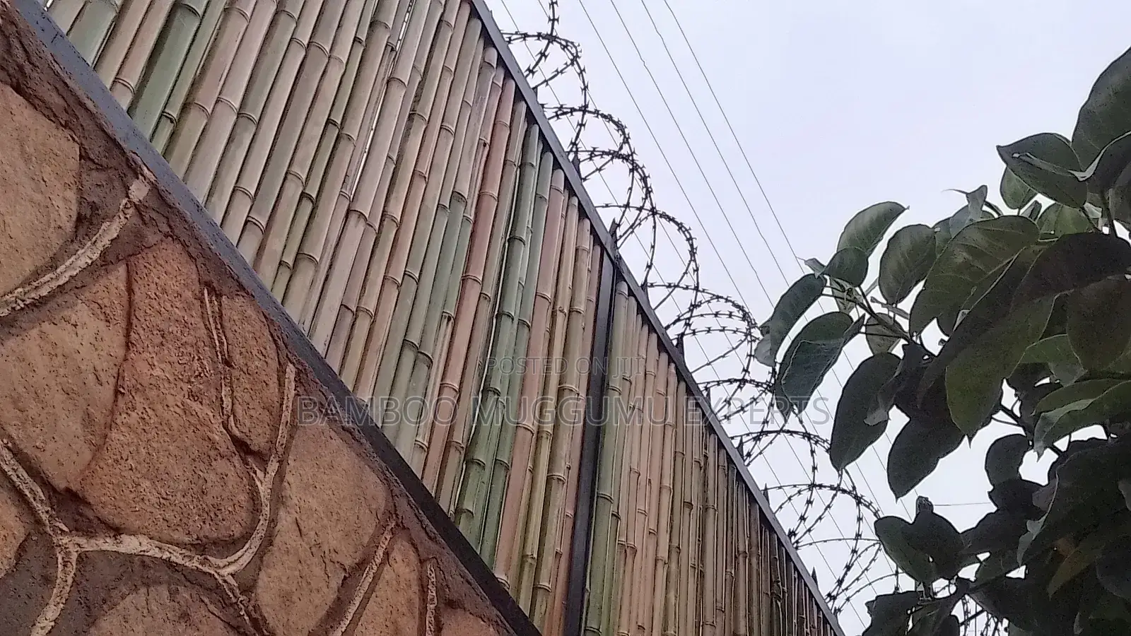 Bamboo Terrace