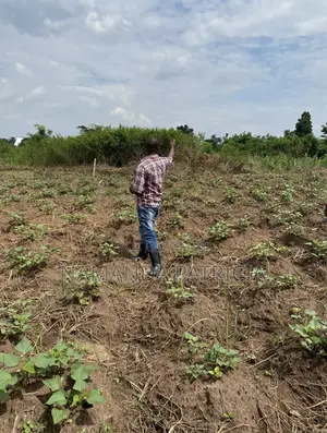 1 Acre Fertile Land With Ready Land Title