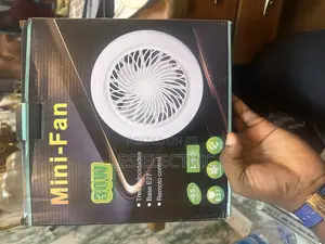 Mini Fan Bulb