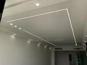Classy Ceiling Amazing