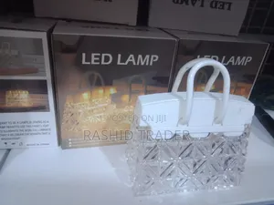 Bag Style Led Lamp