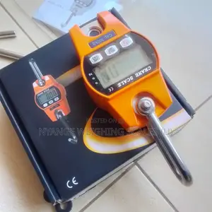 300kg10g Weigh Digital Weighing Scale Mini Crane Weighing Scale