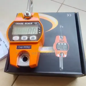 300kg/10g Weigh Calibrated Weighing Scale Mini Crane Weighing Scale
