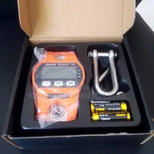 Ocs- L 300kg D=0.1kg Price Electric Mini Crane Weighing Scale