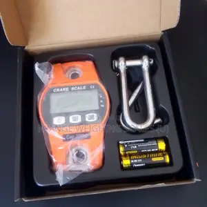 300kg/10g Weigh Commercial Weighing Scale Mini Crane Weighing Scale