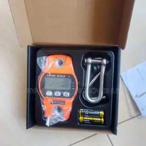 300kg Weigh Wholesale Weighing Scale Mini Crane Weighing Scale