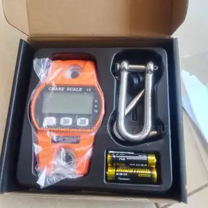 300kg Weigh Digital Precision Weighing Scale Mini Crane Weighing Scale