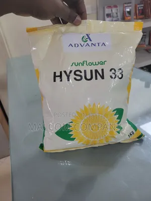 Hysun 33 Sunflower Seeds. 1kg